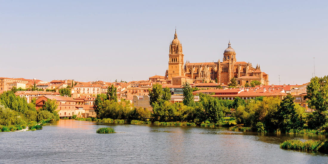 Castile and Leon Salamanca Cathedral